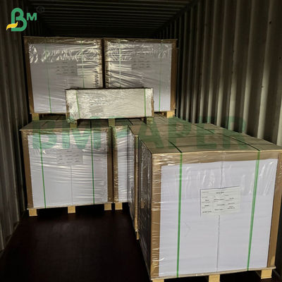 40 گرام کاغذ بسته بندی میوه ها و سبزیجات برای بسته بندی سیب