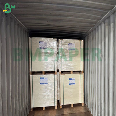 کاغذ فنجانی مات 240 گرمی + 15PE برای ساخت سطل پاپ کور 61 در 86 سانتی متر