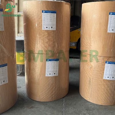 Kit 5 White Greaseproof Paperboard 240GSM for French Fries Take Away Boxes