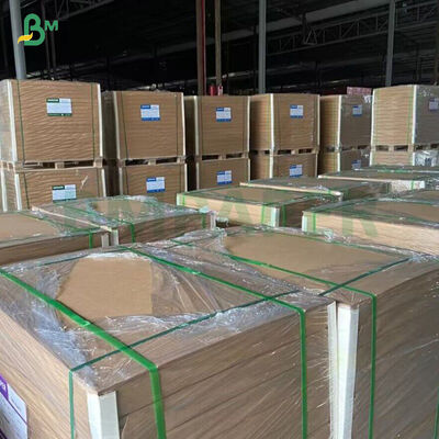 کاغذ کرافت بامبو با روکش PE 250 گرمی برای لیوان کاغذی