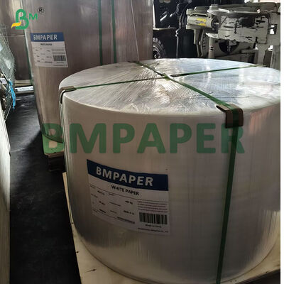 Non-toxic Grease Resistant Premium Muffin Paper 38gsm 40gsm For Bakery