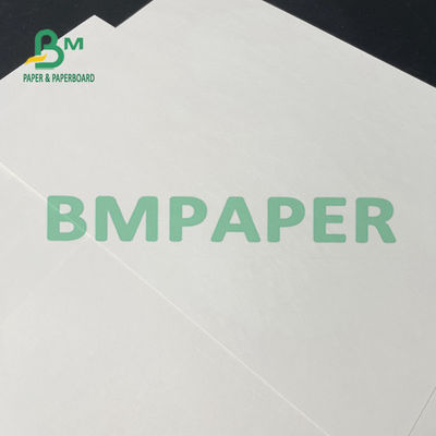 100gsm جام 120gsm استوک رول کاغذی رنگ سفید برای فنجان مخروطی
