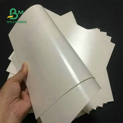 مواد غذایی درجه 260 + 15 فنجان با پوشش پلی اتیلن کاغذ استوک سفید برای فنجان قهوه