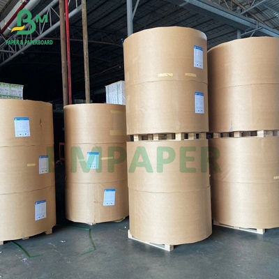 OEM ODM White Cup تخته کاغذی با پوشش پلی اتیلن برای کاسه کاغذی لیوان کاغذی