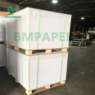 200 گرم + 20 گرم PE فنجان کاغذ پایه تاشو مقاومت در برابر آب