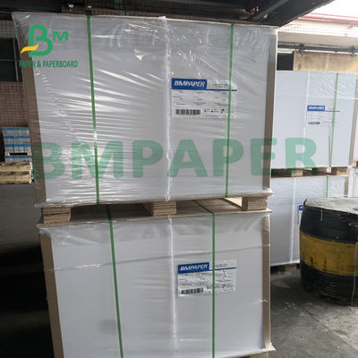 کاغذ بسته بندی غذا 635 میلی متر X 914 میلی متر، کاغذ هنری ضد آب C1S برای جعبه غذاخوری