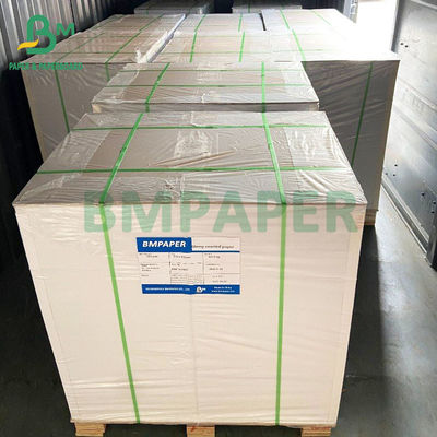 تخته کاغذ استوک 200 گرمی 210 گرمی فنجان غذا، کاغذ پایه بدون پوشش ضد آب