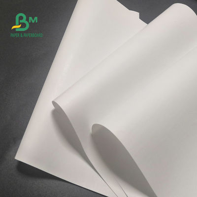 رول کاغذ حرارتی رایگان 65 گرمی BPA برای صندوق ثبت تصویر شفاف 600 میلی متر X 9000 متر