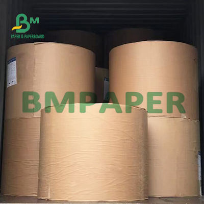 230 گرم + 15 گرم کاغذ فنجانی با پوشش پلی اتیلن تک طرفه با مواد خمیر چوب بکر