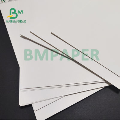 تخته کاغذی 170 گرمی 190 گرمی C1S Ivory SBS برای برچسب های پوشاک 30 x 40 اینچ با سفیدی بالا