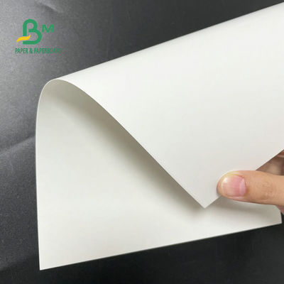 رول کاغذ فریزر 30 x 40 اینچ 12pt 14pt 18pt تخته هنری C1S سفید برای بسته بندی مواد غذایی