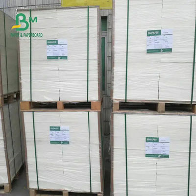 لیوان عایق حرارتی تخته کاغذ استوک ضد آب 1200mm 190gsm 210gsm 240gsm