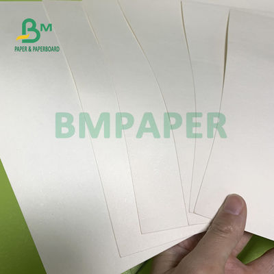 230gsm + فنجان 18gsm استوک تخته کاغذ ایمن بدون بو مخصوص کاسه نودل