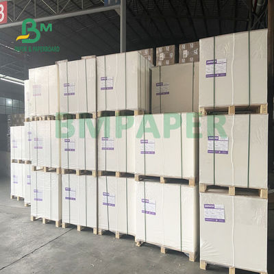 230gsm + فنجان 18gsm استوک تخته کاغذ ایمن بدون بو مخصوص کاسه نودل