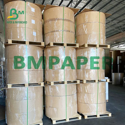 ورق کاغذ هنری براق 165GSM 70x100CM برای پوسترهای تبلیغاتی