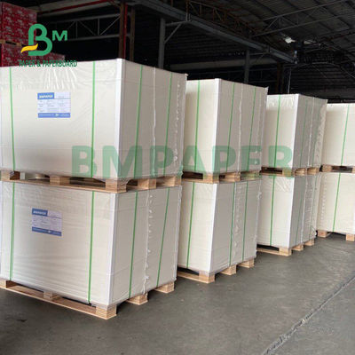 درجه مواد غذایی 135gsm + 10gsm جام پلی اتیلن پوشش داده شده کاغذ براق و پوشش مات