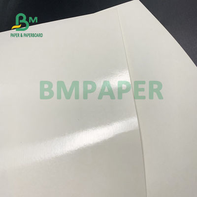 درجه مواد غذایی 135gsm + 10gsm جام پلی اتیلن پوشش داده شده کاغذ براق و پوشش مات