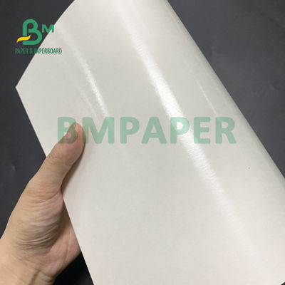 درجه مواد غذایی 135gsm + 10gsm جام پلی اتیلن پوشش داده شده کاغذ براق و پوشش مات