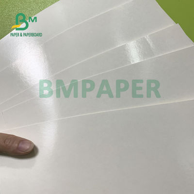 درجه مواد غذایی 135gsm + 10gsm جام پلی اتیلن پوشش داده شده کاغذ براق و پوشش مات