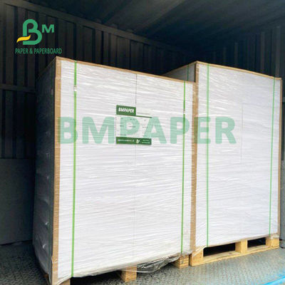 210gsm + 15gsm فنجان کاغذ پوشش داده شده پلی اتیلن با روشنایی خوب 615 میلی متر X 850 میلی متر