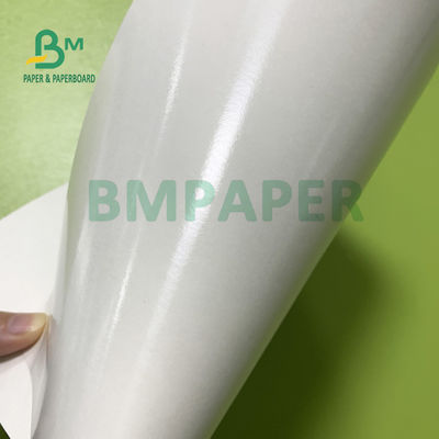 210gsm + 15gsm فنجان کاغذ پوشش داده شده پلی اتیلن با روشنایی خوب 615 میلی متر X 850 میلی متر