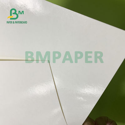 230gsm + 15gsm دوام کاغذ استوک فنجان با پوشش پلی اتیلن برای کاسه سوپ 560 میلی متر X 700 میلی متر