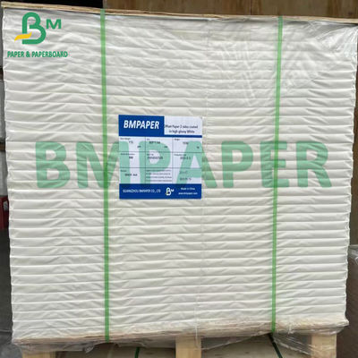 هیئت مدیره چوب طبیعی سفید با جذب بالا 600um Beer Mat Board