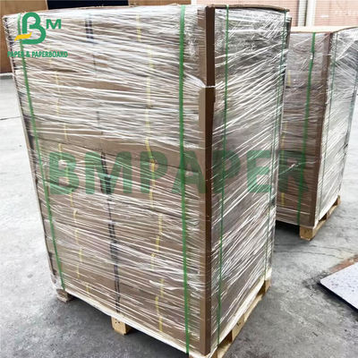 رول کاغذ پلاتر ردیابی شفاف سایز بزرگ برای طراحی 880 x 50 متر