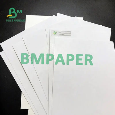 تاول SBS Paper Board Ivory C1S Sheet 275G 300G 320G 350G 400G 425G