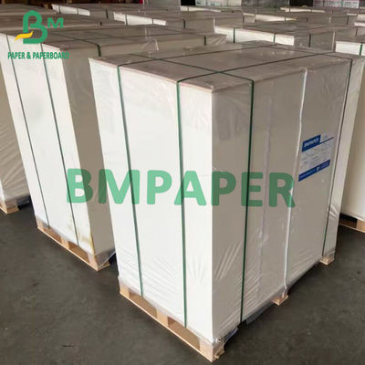 635 میلی متر عرض تخته FBB 275 گرم 300 گرم GC1 کارتن سفید کننده جعبه تاشو کاغذ رول
