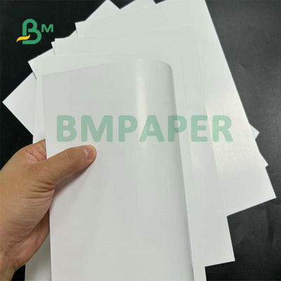 280mic 300mic 320mic Gloss Coated C2S SBS Paperboard 70 x 100cm for Magazine