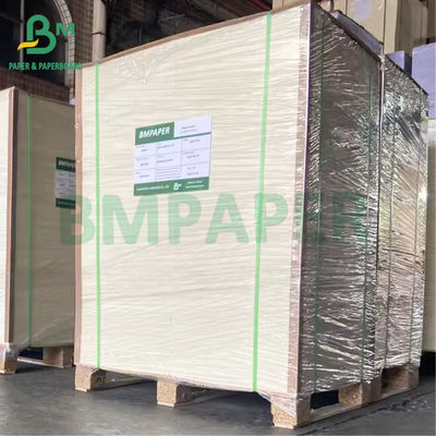 550gsm کاغذ تخته تشت آبجو سطح بدون پوشش جذب رطوبت خوب