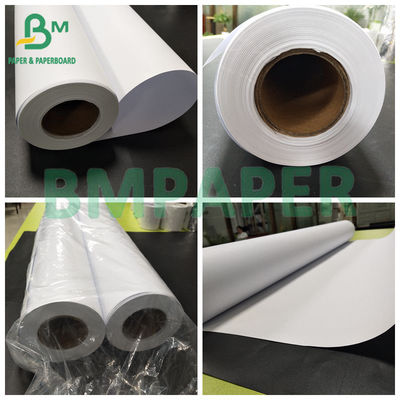 رنگ های سفید، جذب رنگ خوب دارند. کاغذ نقاش 80 گرمی CAD است.