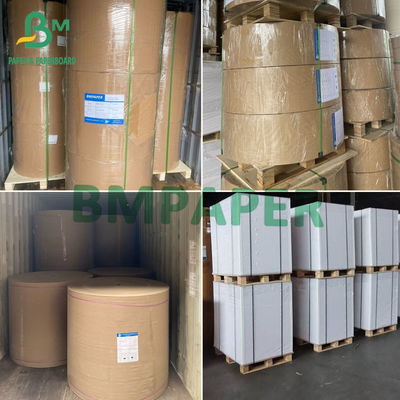 35gsm 40gsm کاغذ حفاظت از روغن کاغذ ضد چرب سفید در رول ها اندازه سفارشی برای بسته بندی مواد غذایی