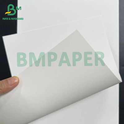 صاف 18pt سفتی خوب درخت آزاد یک طرف پوشش کارتونی سفید