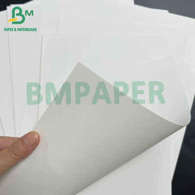 صاف 18pt سفتی خوب درخت آزاد یک طرف پوشش کارتونی سفید