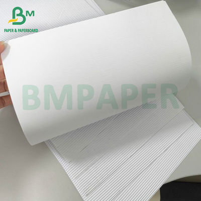 فلوتی سفید تک چهره گچ کارتونی رول B فلوت E فلوت برای حمل و نقل