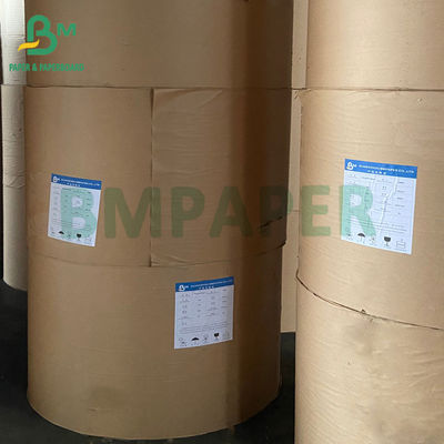 عایق گرما عالی BF 120g +120g E - کاغذ لوله ای فلوت