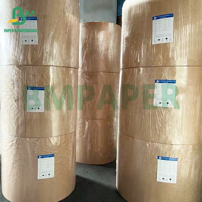 واحد PE پوشانده صندوق ناهار کارت سفید سفید برای بسته بندی مواد غذایی