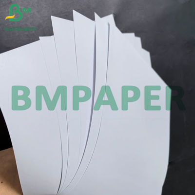 ۲۴'۳۶' عرض قالب رنگین پرتاب می تواند چاپ شود