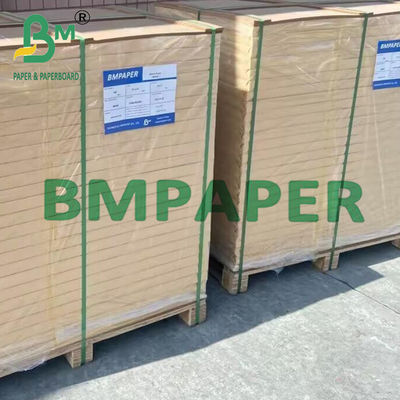کاغذ نقاشی شفاف برای کپی بوک - 500 ورق / ریم