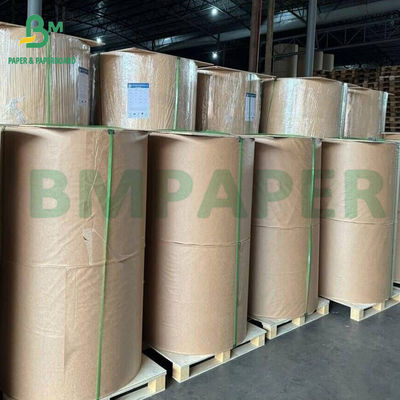 کاغذ بسته بندی مواد غذایی مقاوم در برابر چربی 40gm