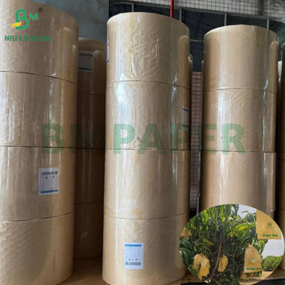 کیسه حفاظت از کاشت انار 30gm درونی کاغذ سیاه رول ضد آفتاب