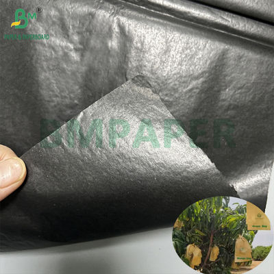 کیسه حفاظت از کاشت انار 30gm درونی کاغذ سیاه رول ضد آفتاب