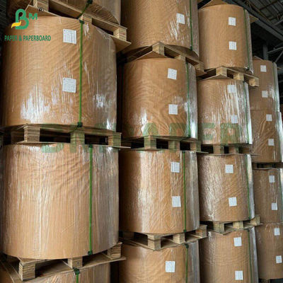 130 گرام 300 گرام کاغذ گندم طبیعی کاغذ پالپ برای بشقاب های مواد غذایی رول های کاغذی زیست تجزیه پذیر