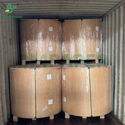 300 گرم کاغذ گندم طبیعی باگاس پالس برای برچسب های آویزان 700 میلی متر
