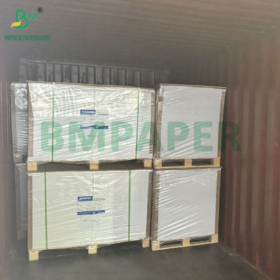 17gm کاغذ رنگارنگ پوششی برای میوه ها بسته بندی 50 x 70 سانتی متری سبک وزن