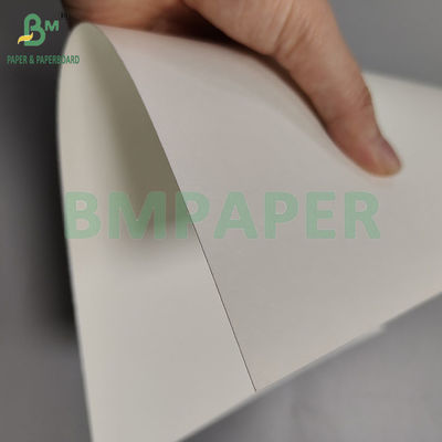 230gsm + 18pe کاغذ جام مت متری P2S یکبار مصرف برای نوشیدن نوشیدنی های گرم / سرد