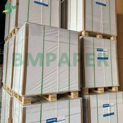 کاغذ فیلتر قهوه ای یکبار مصرفی قهوه ای 100 عدد 2-4 فنجان