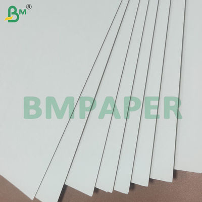 135-350gsm دو طرفه صاف PE پوشانده جام کاغذ سهام ورق